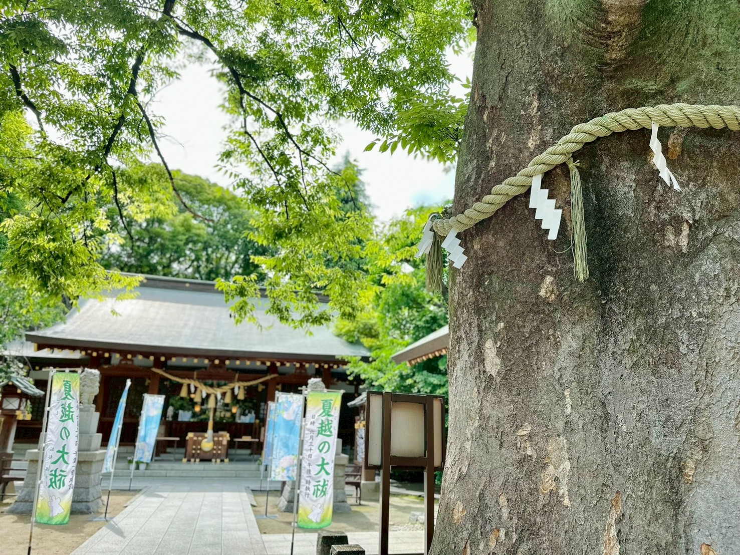 神社の風景 9