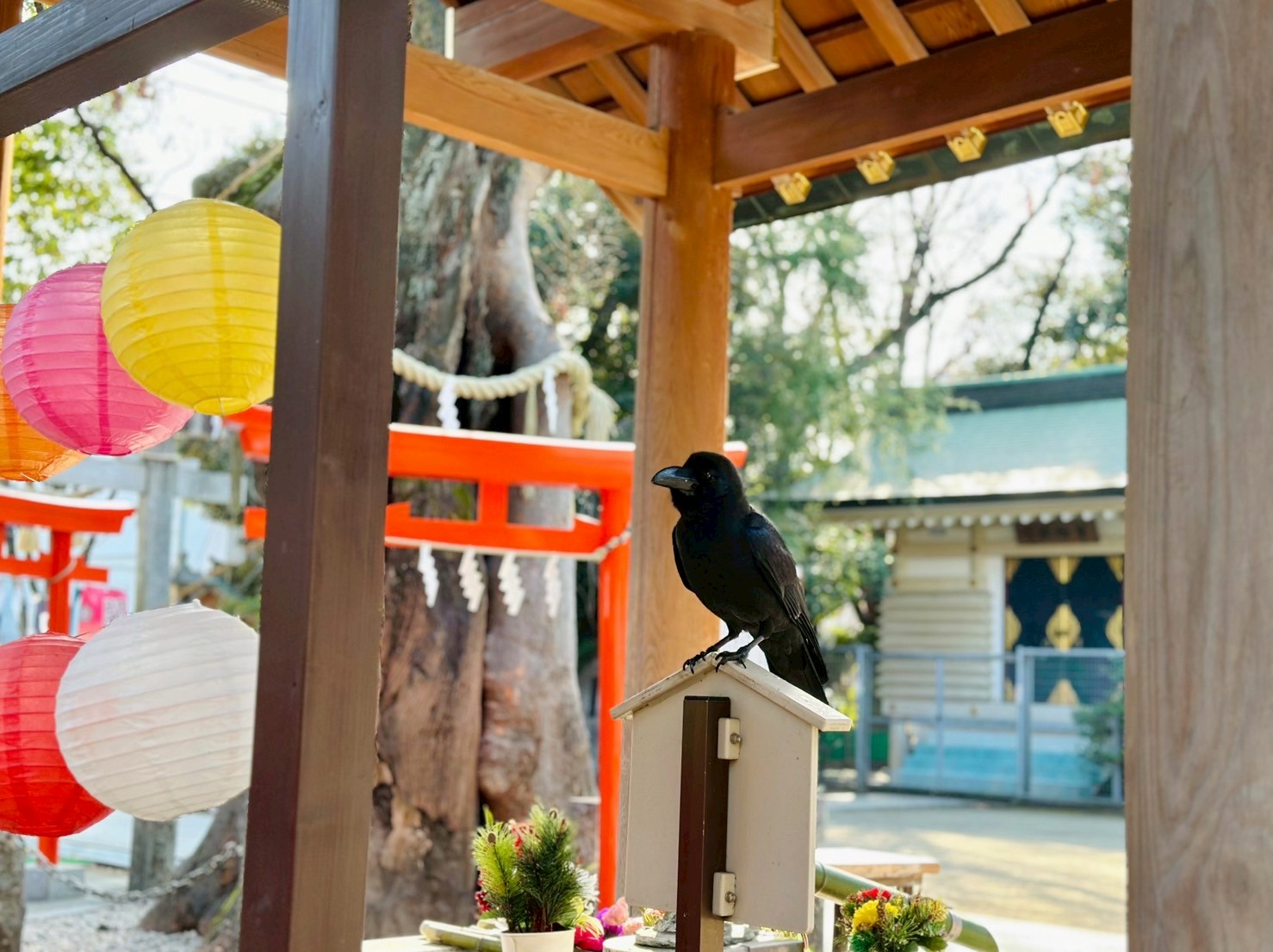 授与品ファーストビュー